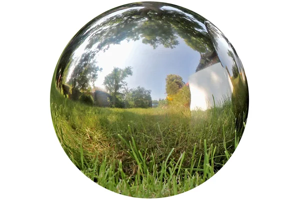 The Crosby Street Stainless Steel Gazing Ball for Garden and Home - 13 Inches in Diameter by Whole House Worlds