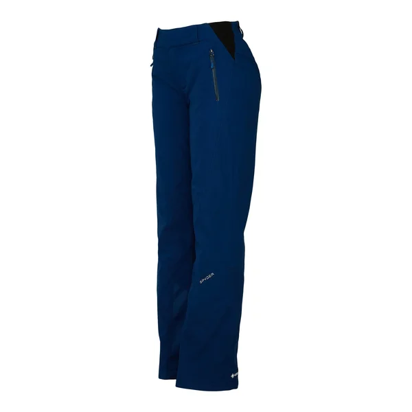 Spyder Winner Gore-Tex Pant - Women's Wish - 10/Reg