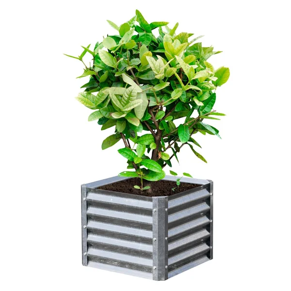 EarthMark High Galvanized Steel Raised Garden Bed - Silver