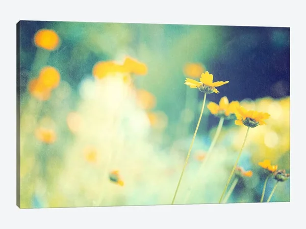 Carolyn Cochrane Canvas Wall Decor Prints - in The Meadow ( Seasons > Spring art)