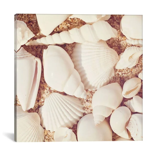 iCanvas - Beachcomber by Carolyn Cochrane Canvas Print - ICS113-1PC3-37x37