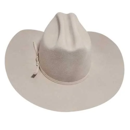 Renegade by Bailey Western Boys& Colt, Size: 6 3/8, Silver
