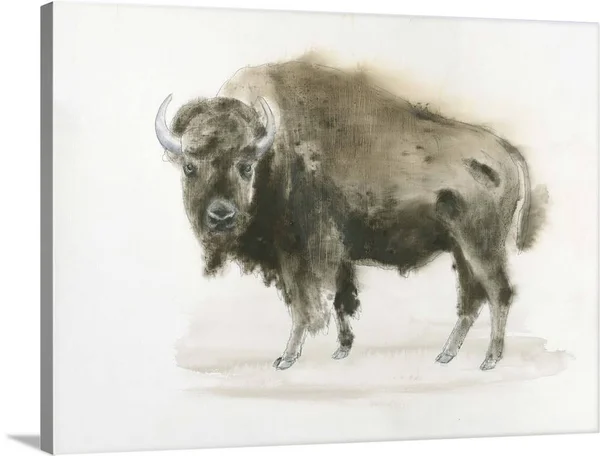 Buffalo Bill - Canvas Wall Art, 40x30, Great Big Canvas