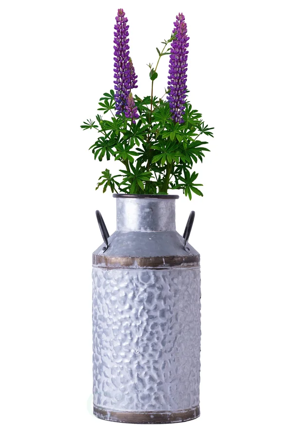 Vintiquewise Rustic Farmhouse Style Galvanized Metal Milk Can Decoration Planter and Vase - Large
