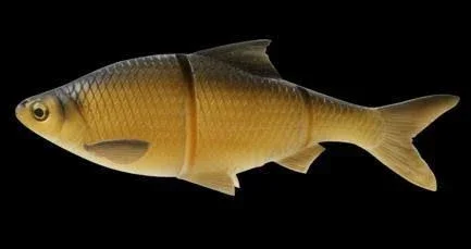 Savage Gear 3D Line Thru Gizzard Shad 7 inch Golden Shiner