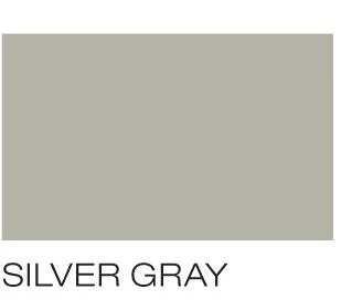 6& Frontier II Silver Gray Diving Board & White Spring Stand