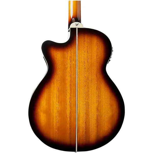 Washburn EA15ATB