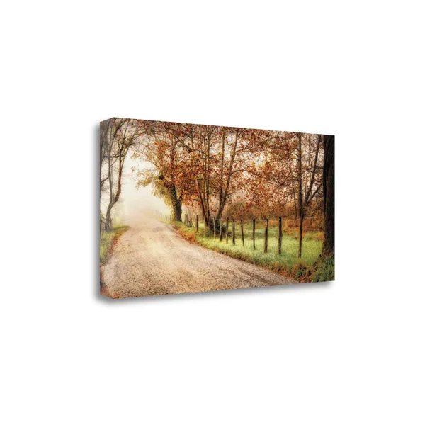 Tangletown Fine Art Fog Ahead by D. Burt