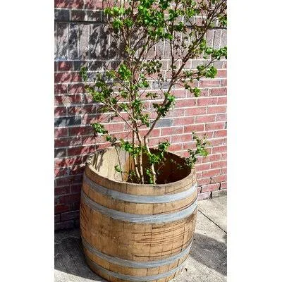 Ahern Wood Barrel Planter Millwood Pines