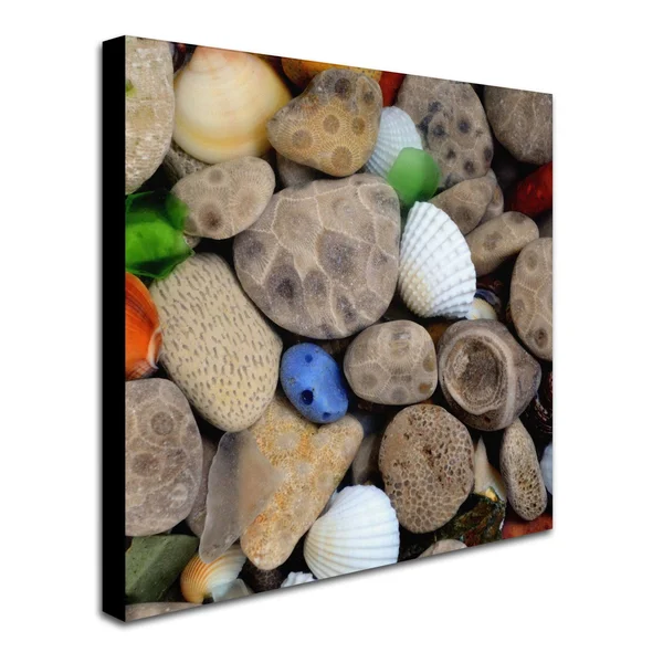 Trademark Global Michelle Calkins 'PetoskeyStones V' Canvas Art