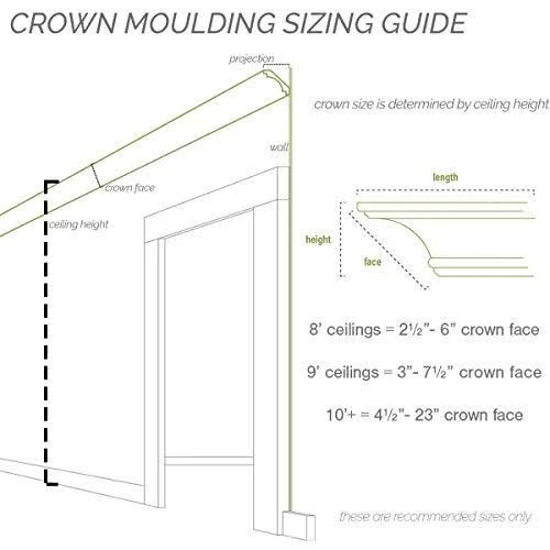 Ekena Millwork MLD06X07X10EG Egg and Dart Crown MOULDING