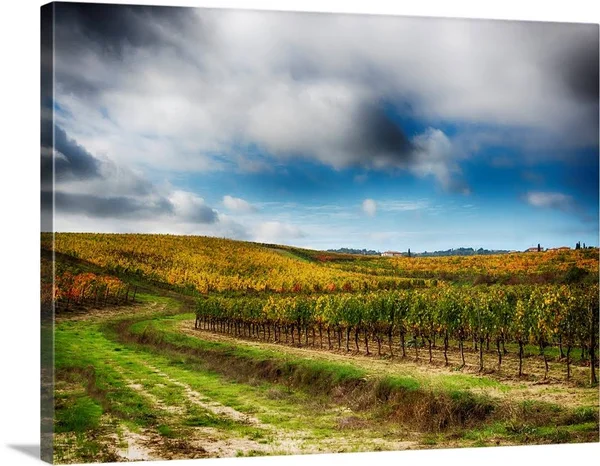 Europe, Italy' Montepulciano, Autumn Vinyards in Full Color Near Montepulciano, Canvas Wall Art, 24x18, Great Big Canvas