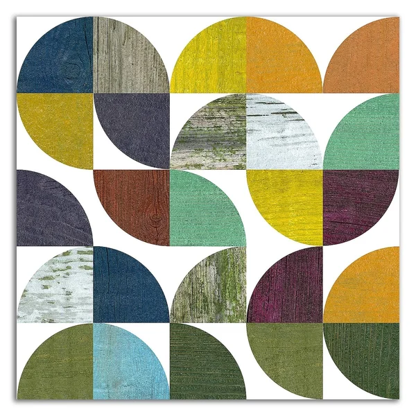 14x22 x 14x22 Rustic Rounds 3.0 by Michelle Calkins Print on Canvas