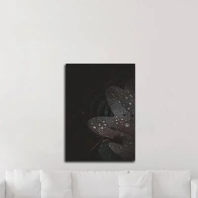 &Secret 5& by Design Fabrikken - Photograph Print on Canvas Latitude Run Size: 35x22 H x 25x22 W x 1.5x22 D