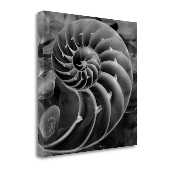 Tangletown Fine Art Crystal Cove - 44 by Alan Blaustein