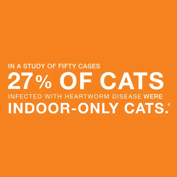 Advantage Multi for Cats 2-5 lbs, 3 Month Supply