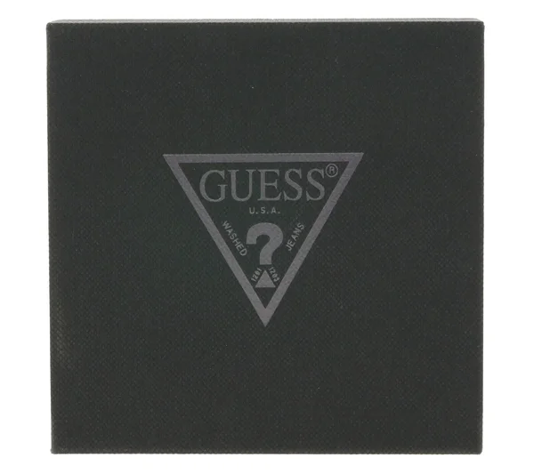 Guess Watch W0775L13