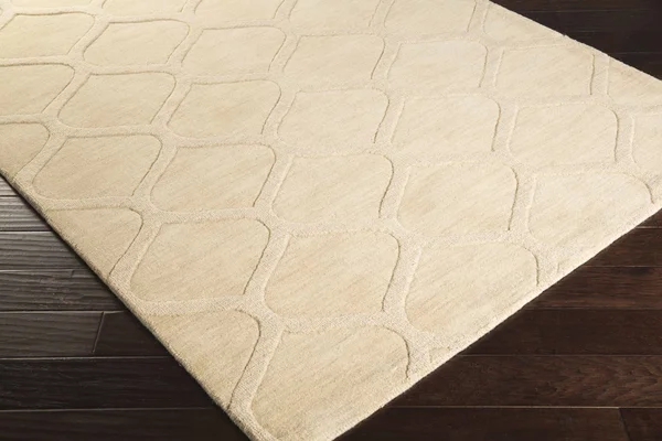 Avinger 8& x 11& Solid & Border Wool Area Rug - Hauteloom