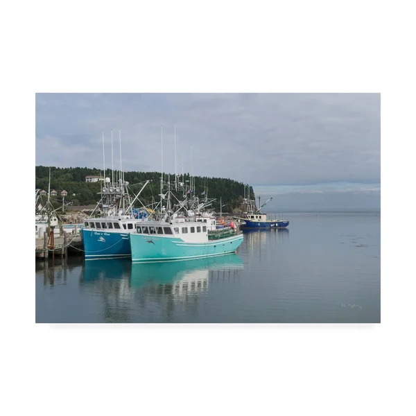 Alan Majchrowicz 'Bay of Fundy I' Canvas Art - 30x47