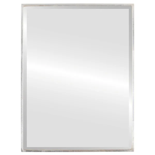 Singapore Framed Rectangle Mirror - Sliver Brown Leaf - Silver Leaf Brown - 24 5/8x22x30 5/8x22