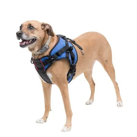 Walkin& Lift Front Combo Harness Xlarge