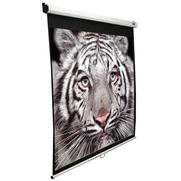 Elite Screens Manual Series M99NWS1 Projection Screen