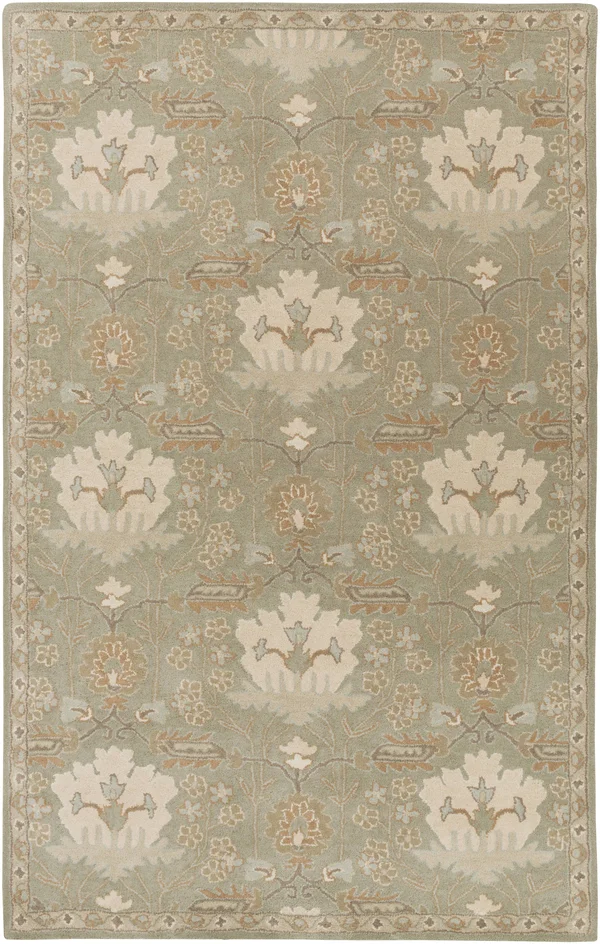 Surya Caesar CAE-1160 6& Round Area Rug