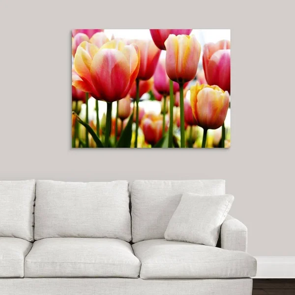 GreatBigCanvas Tulip by PhotoINC Studio Canva 30-in H x 40-in W Abstract Print on Canvas, 2529356-24-40X30