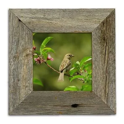 Denice Matte Wood Frame Set Loon Peak Color: Weathered Gray, Picture Size: 14x22 x 16x22