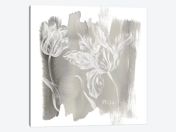 Sue Schlabach Canvas Art Picture - Neutral Water Wash I ( Floral & Botanical > Flowers art)