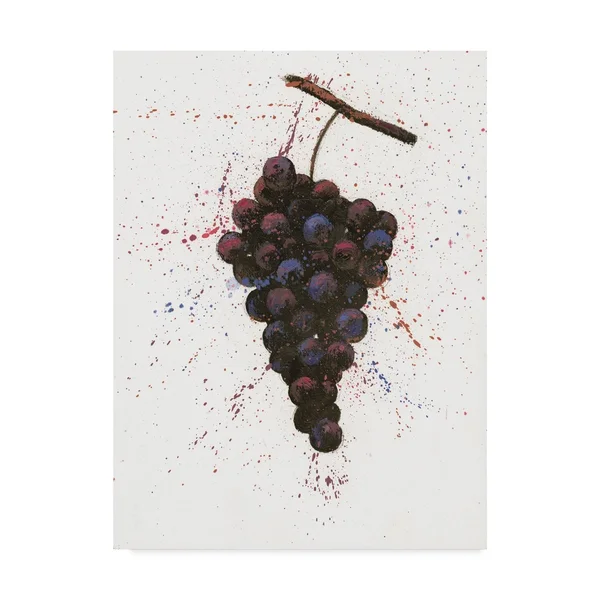 Trademark Fine Art 'Wine Splash Grapes Purple' Canvas Art by Wellington Studio, Size: 14 x 19