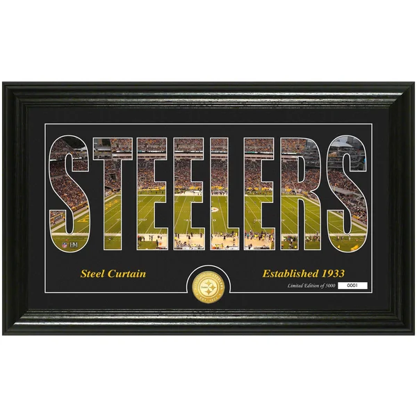 Pittsburgh Steelers Silhouette Bronze Coin Panoramic Photo Mint