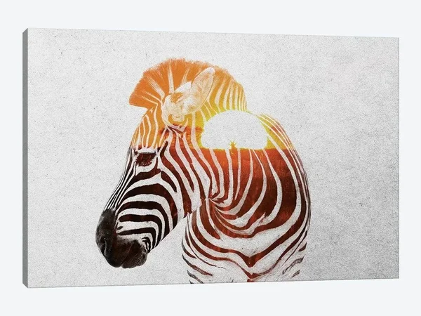 Andreas Lie Canvas Prints - Zebra II