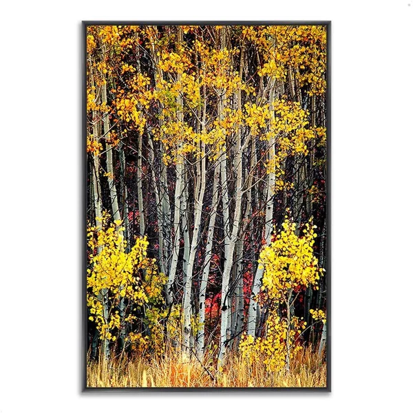 47x22 x 32x22 in The Aspens Fine Art Giclee Print