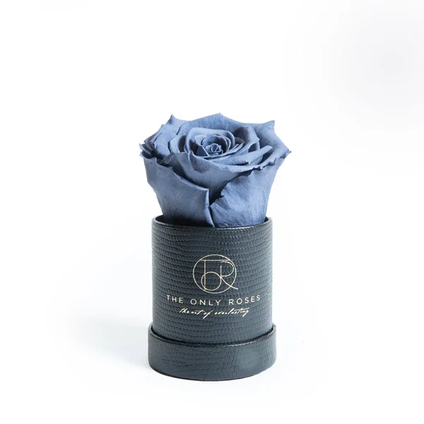 Single Gray Everlasting Preserved Rose in Leather Petite Round Shaped Rose Box, Rose Hat Box, Preserved Rose, Forever Roses, Ever