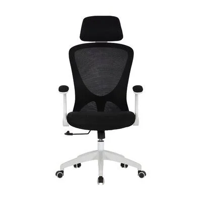 Arjun Ergonomic Mesh Task Chair The Twillery Co. Upholstery Color: Black
