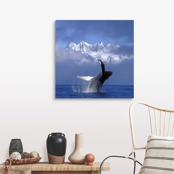 Humpback Whale Breaches in Clearing Fog SE AK Spring w/Mendenhall, Canvas Wall Art, 30x30, Great Big Canvas