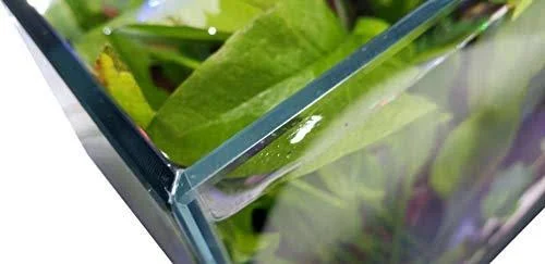Lifegard Ultra Clear Crystal Aquarium - Medium