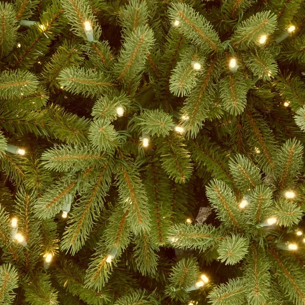 National Tree Jersey Fraser Fir Medium Tree with Clear Lights 6.5&
