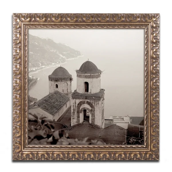 Trademark Art Alan Blaustein 'Campagnia III' Ornate Framed Art