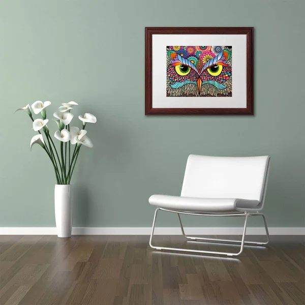 Trademark Fine Art Owl Face by Hello Angel - White Matte, Wood Frame 16x20-Inch, Assorted
