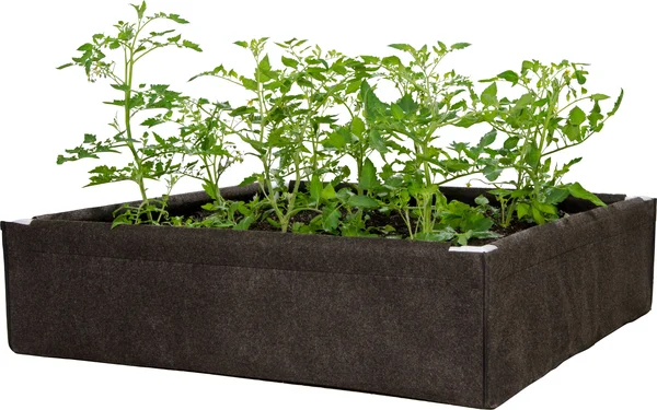 Dirt Pot Box