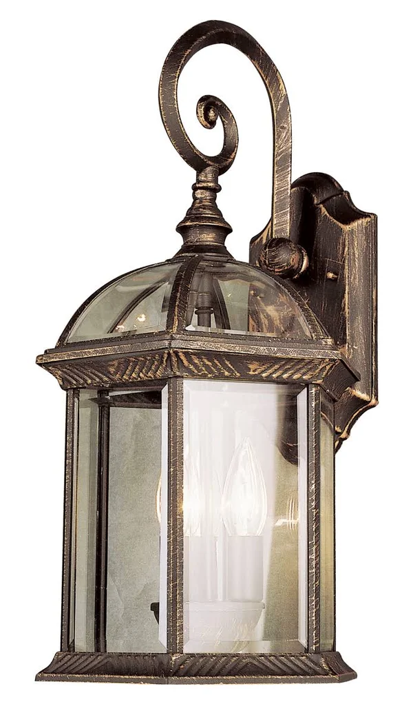 Trans Globe Lighting 44181 BC Outdoor Wall Light in Black Copper