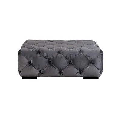 Dirit 36x22 Wide Polyester Blend Tufted Rectangle Cocktail Ottoman Everly Quinn Fabric: Silver Velvet