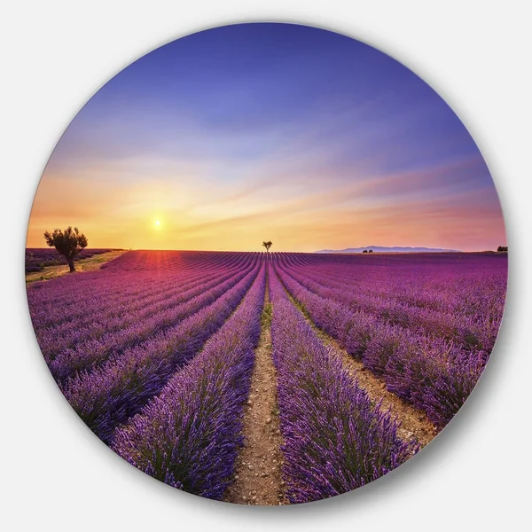 Design Art 'Lavender Field in Provence France' Photographic Print on Metal, Blue