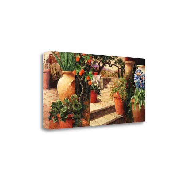 Tangletown Fine Art Turo Tuscan Orange by Art Fronckowiak - Giclee Print on Wrap Canvas, 47x24x22