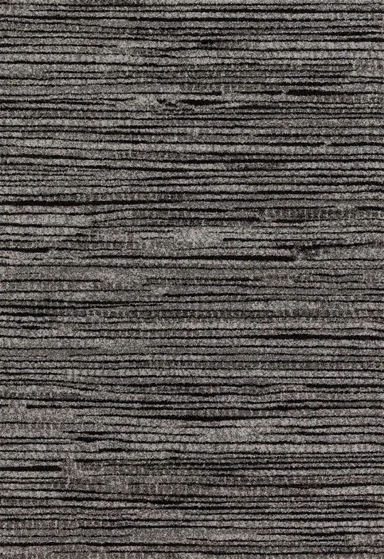 Loloi Emory Transitional Area Rug Collection 3&10x22x5&7x22 in Grey-Black Color