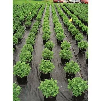 Dewitt Ultra Web 3000 Ground Cover Roll, 4&W x 600&L by Gempler&s