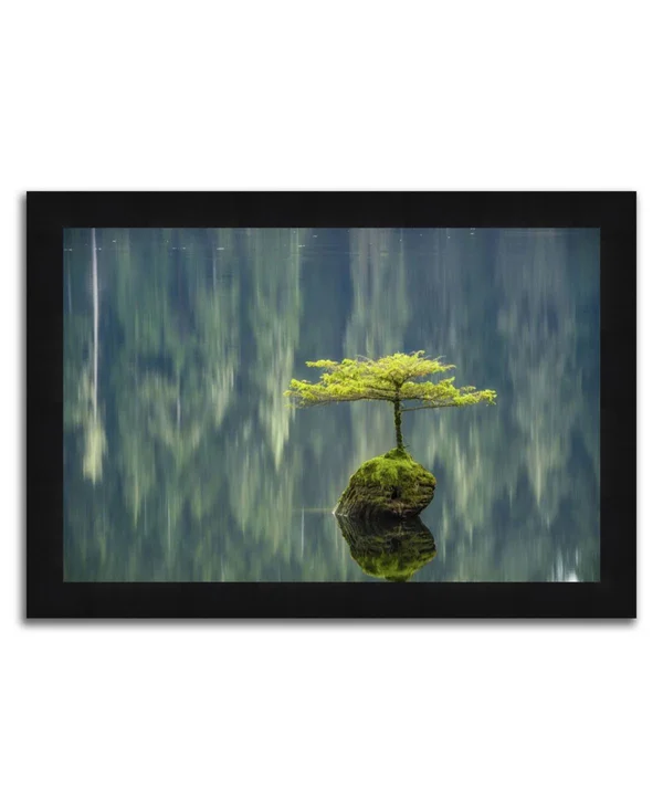 Tangletown Fine Art 24x22 x 34x22 Lone Tree Framed Photograph Print