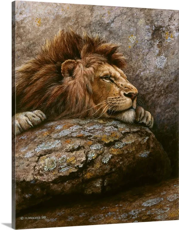 Lion Male 2, Canvas Wall Art, 24x30, Great Big Canvas